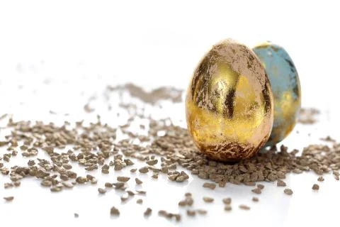 Easter composition with  golden eggs and shells. Stock Photos