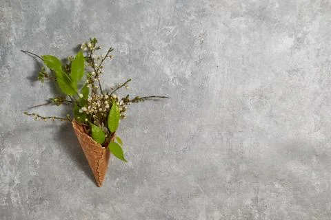 Easter composition. green leaves and cherry flowers in a waffle cone on a gray Stock Photos