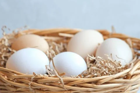 Easter composition on a light concrete background, easter concept Stock Photos