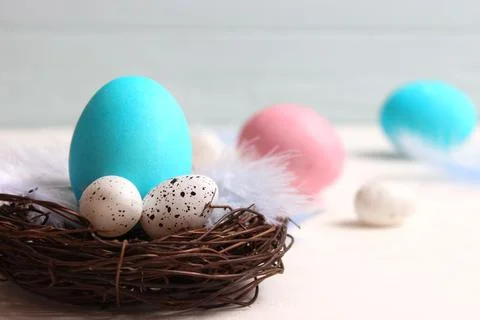 Easter composition of painted eggs and feathers on a colored background. Stock Photos