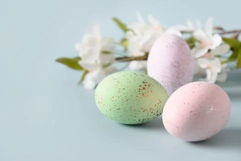 Easter composition with pastel eggs and blossom spring flowers Stock Photos