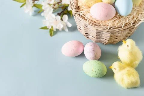 Easter composition with pastel eggs and blossom spring flowers for Happy ho.. Stock Photos