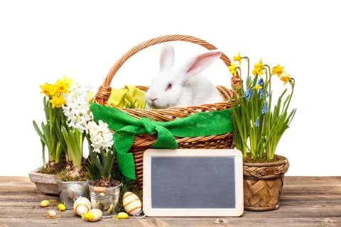 Easter composition. Stock Photos