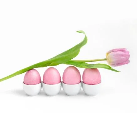 Easter composition with pink pastel eggs and a tulip on a white background.  Stock Photos