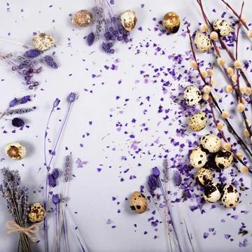 The easter composition in purple blue and grey color with willow and quail eggs. Stock Photos