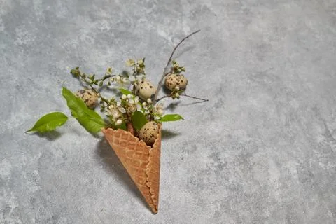 Easter composition. quail eggs and green leaves in a waffle cone on a gray Stock Photos