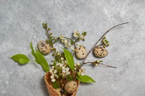 Easter composition. quail eggs and green leaves in a waffle cone on a gray Stock Photos