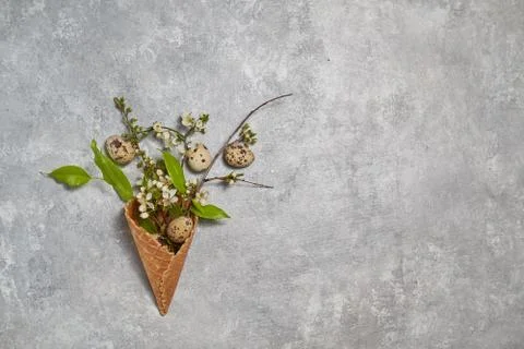 Easter composition. quail eggs and green leaves in a waffle cone on a gray Stock Photos