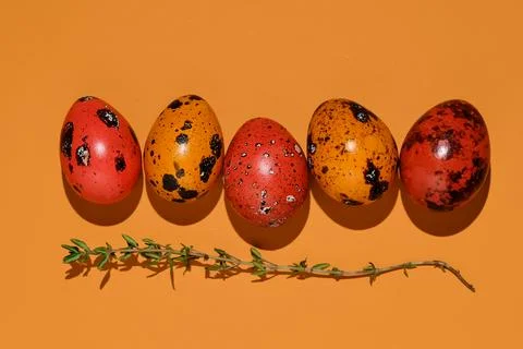 Easter composition of quail eggs and grass on a red brick background. Stock Photos