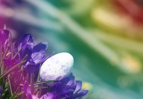Easter composition in rainbow colors. Purple Easter egg Stock Photos