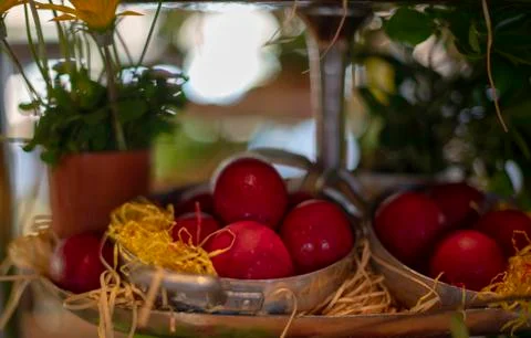 Easter composition with red eggs Stock Photos