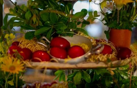 Easter composition with red eggs Stock Photos