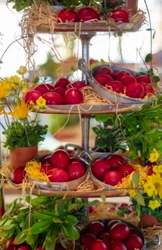 Easter composition with red eggs Stock Photos