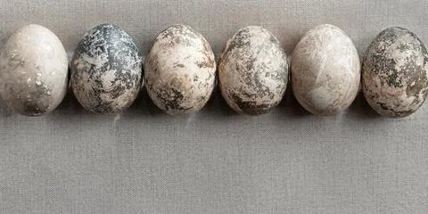 Easter composition - several painted with natural dyes with marble effect on  Stock Photos