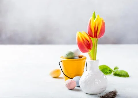 Easter composition with spring tulips Stock-Fotos