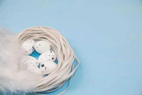 Easter composition. Template for Easter greeting card. Eggs and nest, feather. Stock Photos