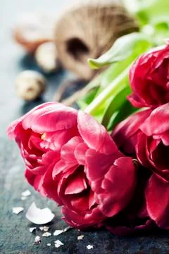 Easter composition with tulips 스톡 사진