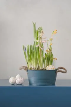 Easter composition with various spring flowers and easter eggs. Foto stock