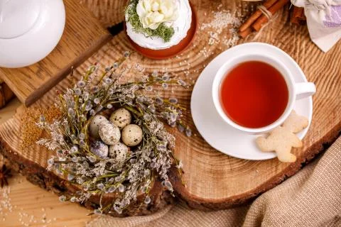 Easter composition with willow and willow lights with Easter eggs and traditi Stock Photos