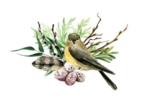 Easter composition with willow, bird and feather. Illustrazione stock