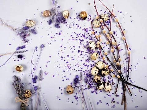 The easter composition of the willow branches and quail eggs on the gray. Stock Photos