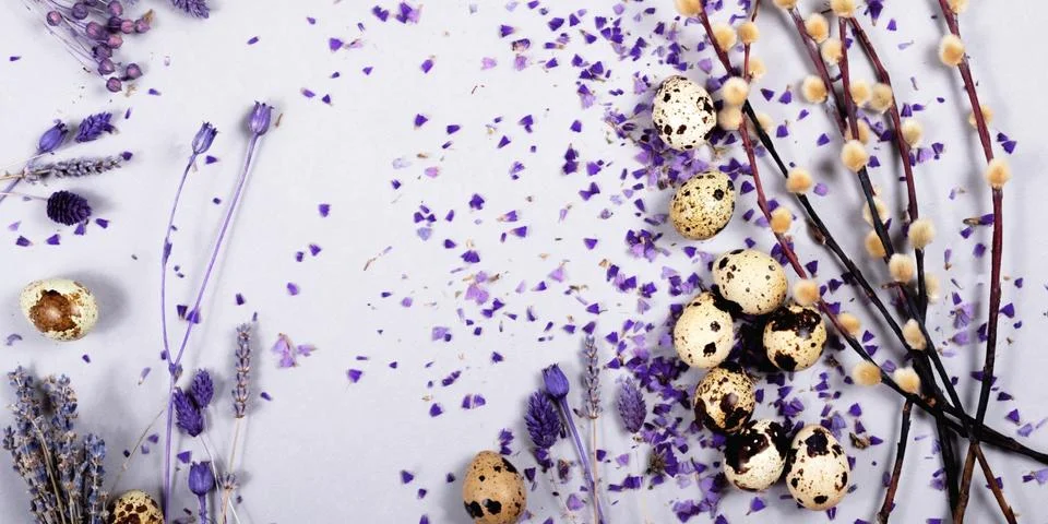The easter composition of the willow branches and quail eggs with copy space. Stock Photos