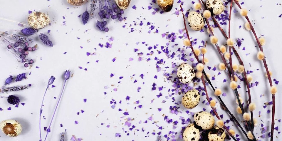 The easter composition of the willow branches and quail eggs on the gray. Stock Photos