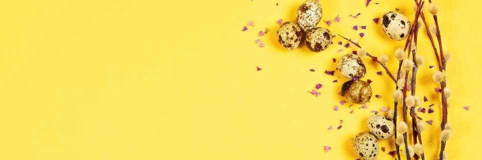 The easter composition of the willow branches and quail eggs on the yellow. Stock Photos
