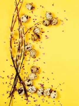 The easter composition of the willow branches and quail eggs on the yellow. Stock Photos