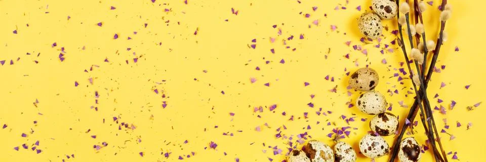 The easter composition of the willow branches and quail eggs on the yellow. Stock Photos