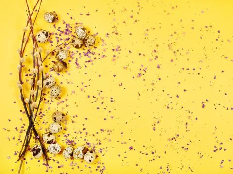 The easter composition of the willow branches and quail eggs on the yellow. Stock Photos