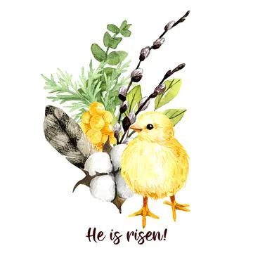 Easter composition with willow, chick and feather Stock Illustration