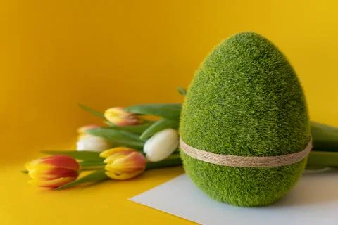 Easter composition on a yellow background. Green Easter egg with tulips on a  Stock Photos