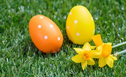 Easter concept. Decorated eggs and yellow narcissus on green grass, close up Stock Photos