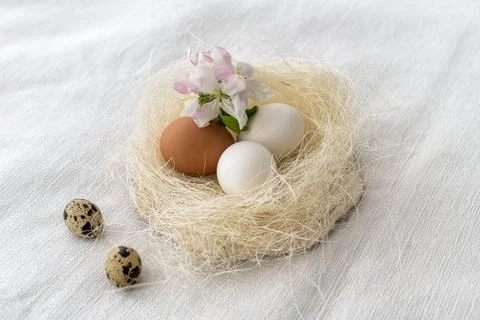 Easter concept. Easter decoration with hens and quail eggs 스톡 사진