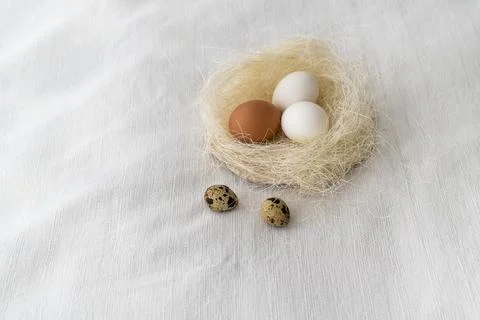 Easter concept. Easter decoration with hens and quail eggs 스톡 사진