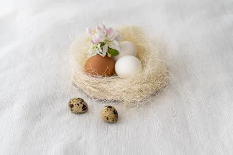 Easter concept. Easter decoration with hens and quail eggs Stock Photos