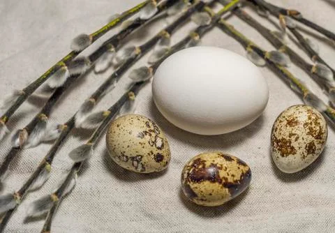 Easter concept with eggs and willow. Close up view. Foto stock