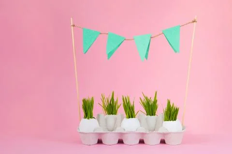 Easter concept with eggs  on a pink background. Eggshell grass, spring, Easter.  Stock Photos