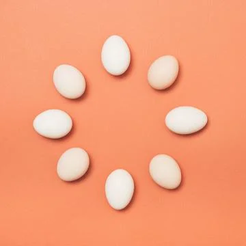 Easter concept made with eggs in circle on brown orange background . Minimal  Stock Photos