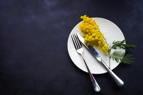 Easter concept with mimosa Stock-Fotos