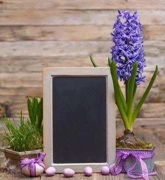 Easter concept Stock Photos