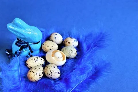 Easter concept. Quail eggs and blue rabbit on blue bird feathers in trendy co Stock Photos