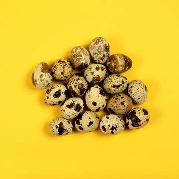 The easter concept with the quail eggs on the trendy yellow background. Stock Photos