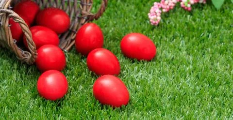 Easter concept. Red eggs out of a basket on green grass, close up view, space Foto stock