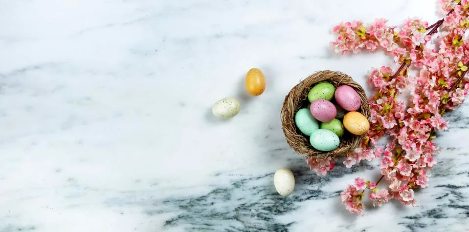 Easter concept with spring cherry blossoms and a nest of eggs on stone backgr Stock Photos