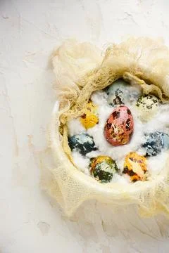 Easter concept. Spring holiday flat lay. Natural quail eggs painted in red Stock Photos