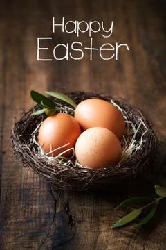 Easter concept - three eggs in a nest with olive branch Stock Photos