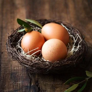 Easter concept - three eggs in a nest with olive branch Foto stock
