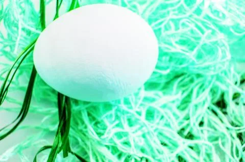 Easter concept, white egg on neon green background, woven fabric nest, top vi Stock Photos